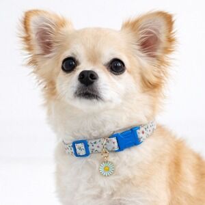 Raisingwell Small Dog Collar Blue Floral Print with Daisy Charm Adjustable S